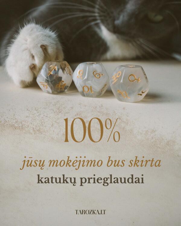 oŽo ritinių orakulas - Image 5