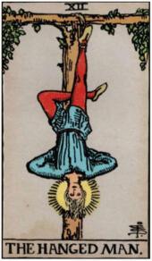 card-7