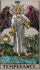 card-3