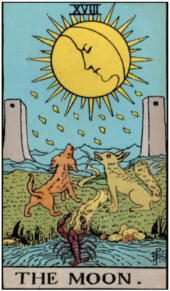 card-16