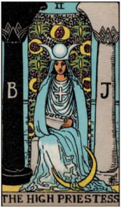 card-5