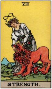 card-4