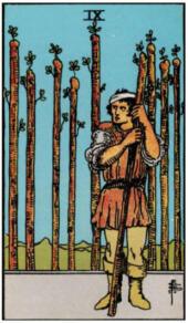 card-8