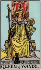 card-14