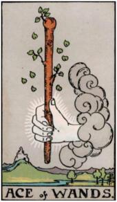 card-20