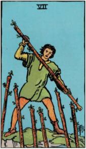 card-5